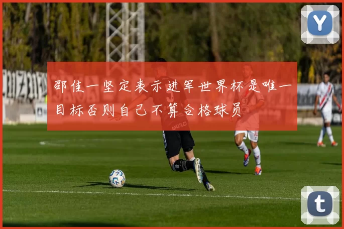 邵佳一坚定表示进军世界杯是唯一目标否则自己不算合格球员